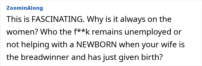 Commenter discussing challenges women face when partners are unemployed or not helping with newborn care at home.