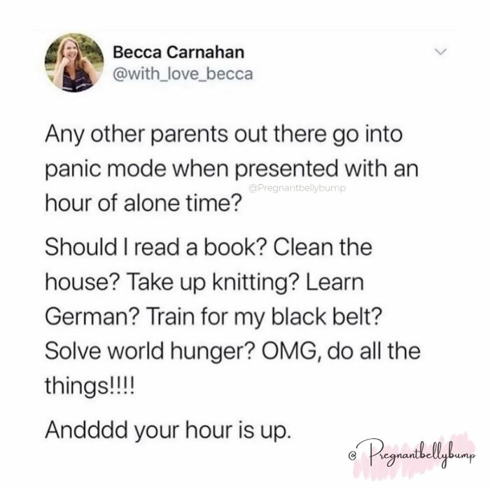 Parenting meme showing a humorous text about panicking during an hour of alone time as a parent.