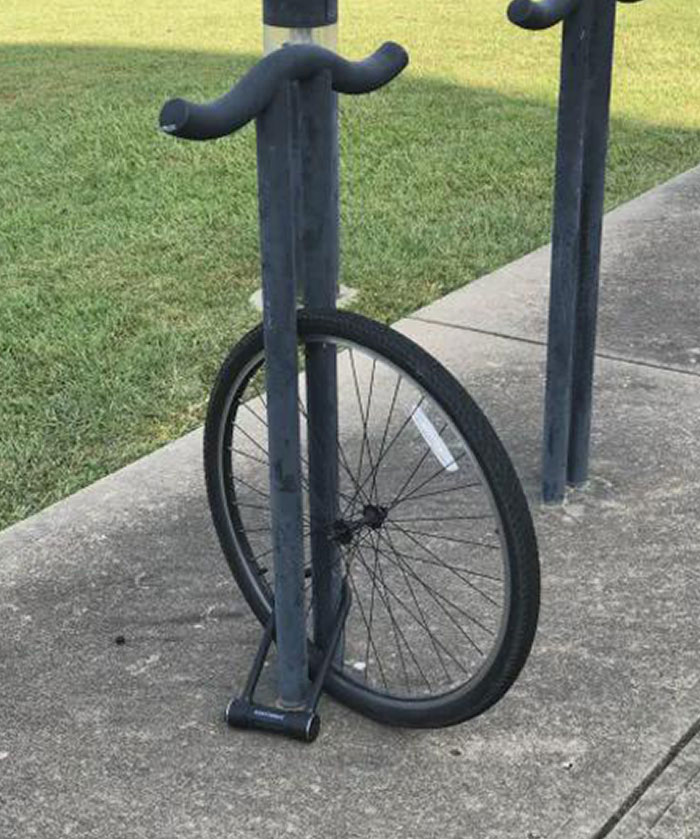 Bicycle wheel locked to bike rack without the frame, showcasing a funny lack of sensible adult behavior.