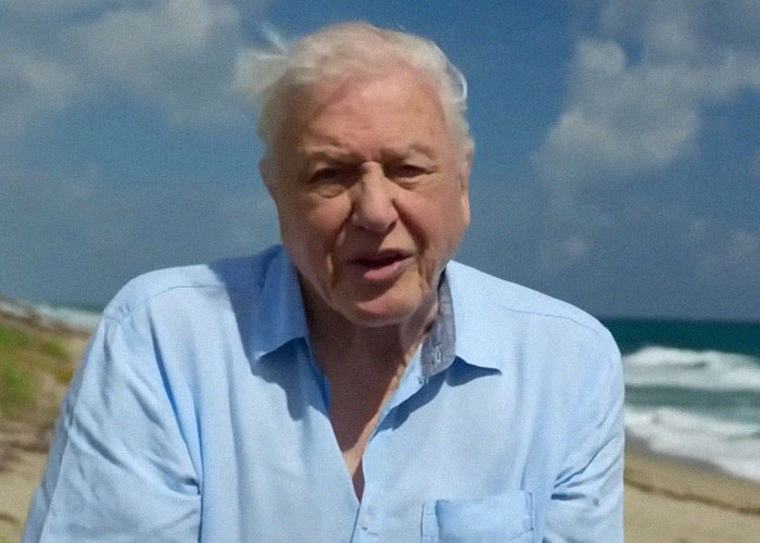 Elderly man in a light blue shirt speaking on a beach with ocean waves and cloudy sky in background, celebrity encounters.