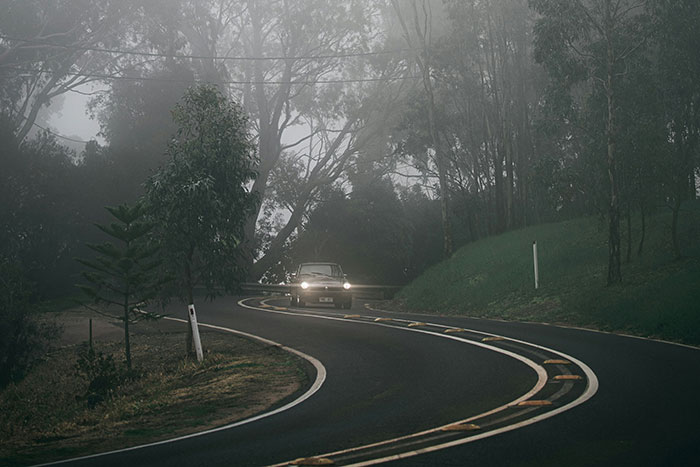 Car driving with headlights on a foggy winding road surrounded by dense trees, symbolizing how to ruin your entire life.