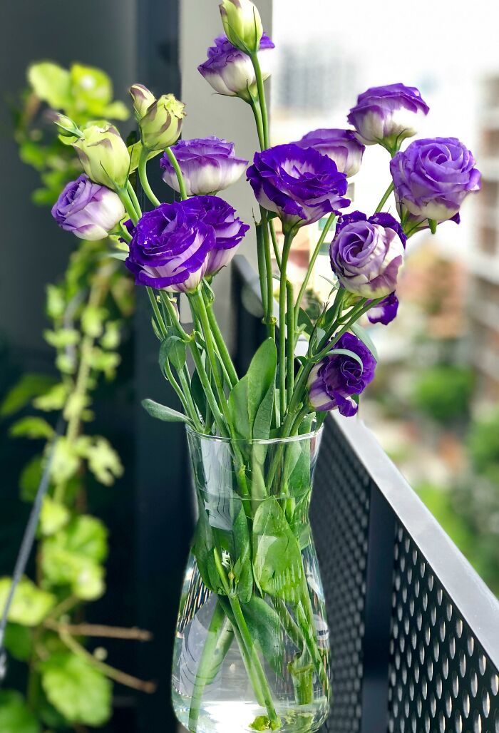Purple and white flowers in a clear glass vase on a balcony, illustrating life hacks for home decor and easy beauty tips.