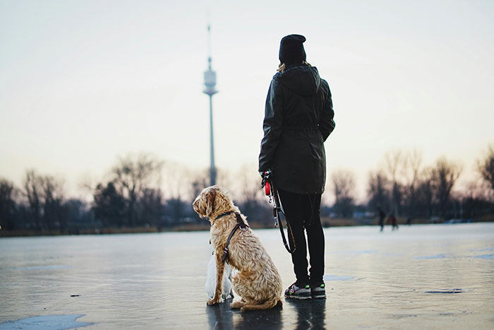 Person wearing winter clothes standing with a dog outdoors at sunset, reflecting on nightmare situations survived.