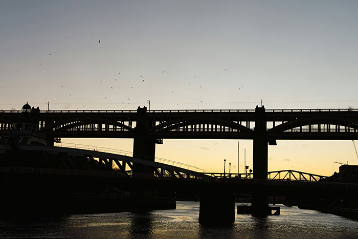 Silhouette of a bridge over water at dusk with birds flying, representing nightmare situations people survived.