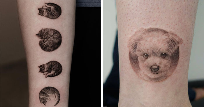 This South Korean Tattoo Artist Creates Incredibly Realistic Pet Portraits (17 Pics)