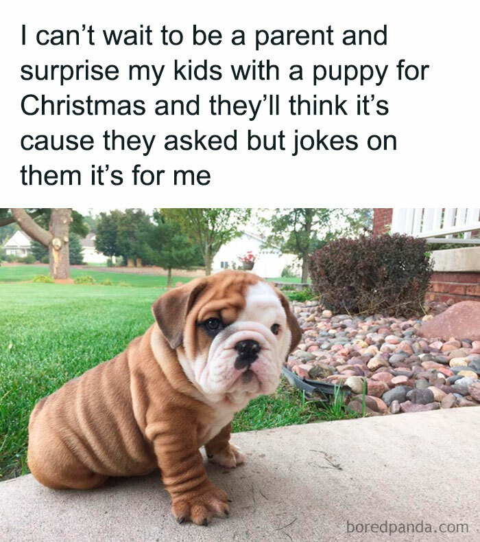 Adorable bulldog puppy sitting outside with a funny caption about surprising kids with pets and furry companions.