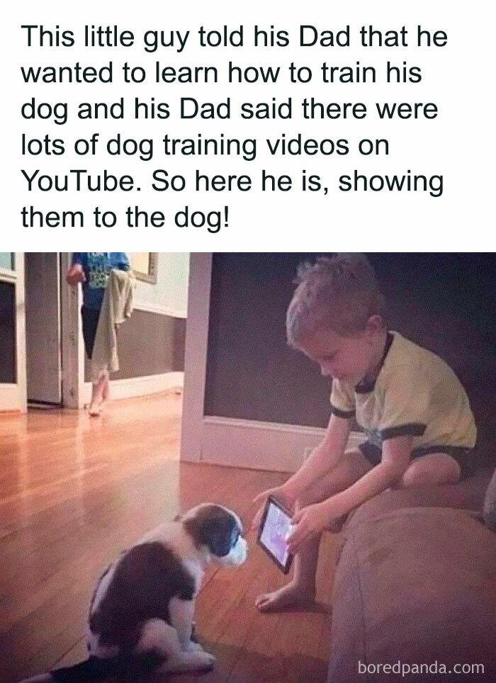 Young boy showing dog training videos on a tablet to a puppy, highlighting the bond between pets and their owners.