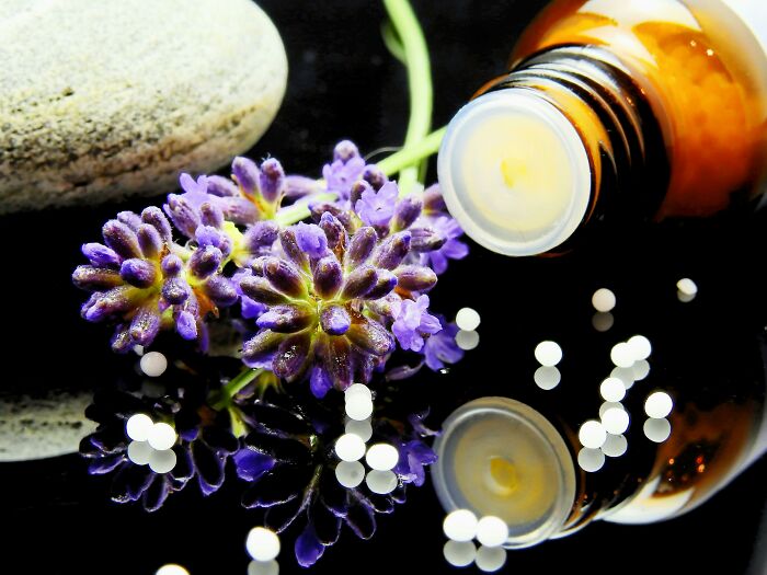 Lavender flowers, white homeopathic pellets, and a small amber medicine bottle representing unique college courses.