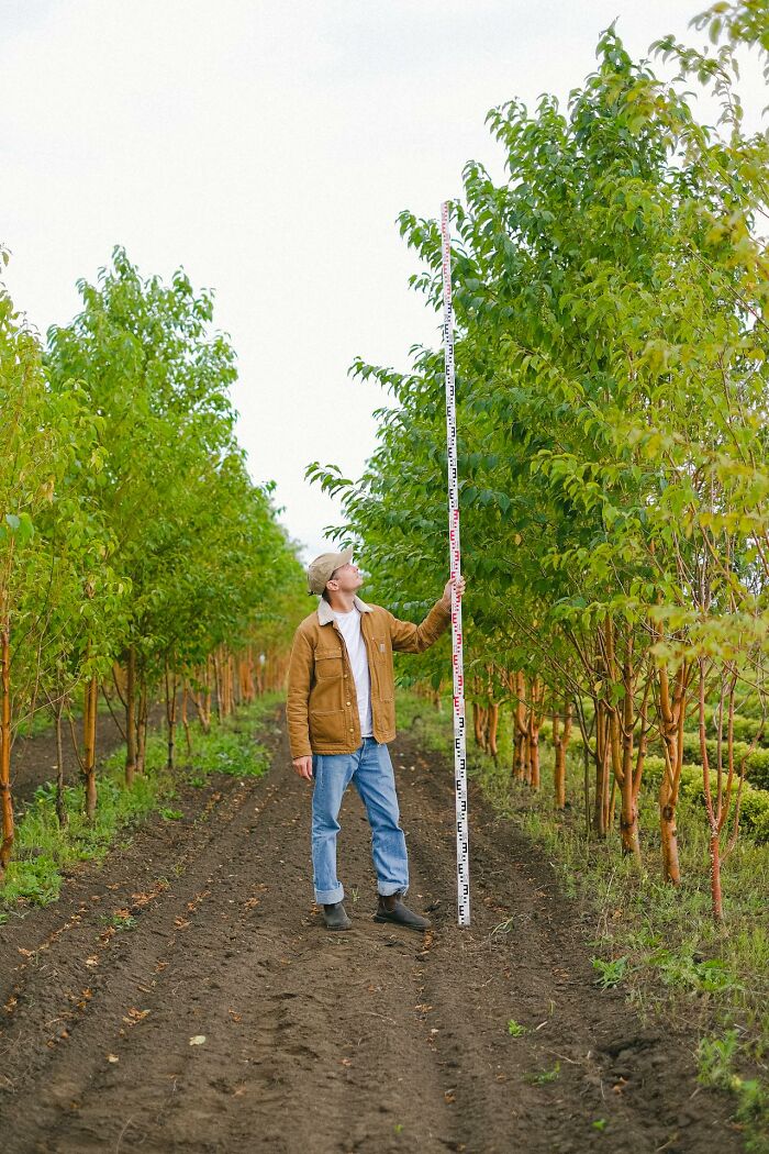 Man in a brown jacket holding a long measuring stick among trees, symbolizing advice and experience in online dating.