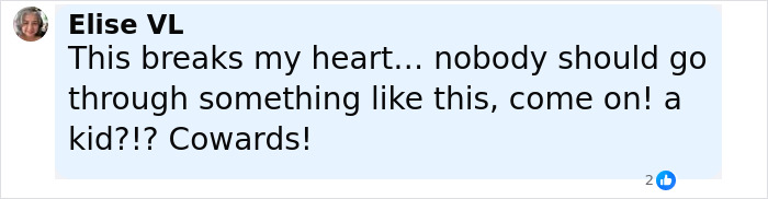 Comment from Elise VL expressing heartbreak and outrage over severe mistreatment of a 12-year-old who escaped home.