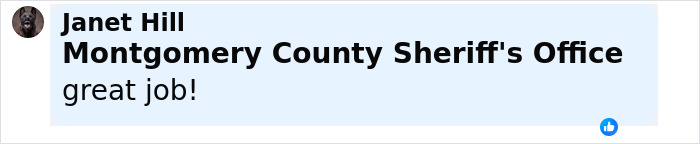 Facebook comment from Janet Hill praising Montgomery County Sheriff's Office for great job related to 12-year-old escaping severe mistreatment.