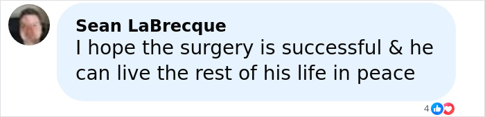 Comment by Sean LaBrecque expressing hope for successful surgery and peaceful life for man with 4-lb face tumor seeking urgent help.