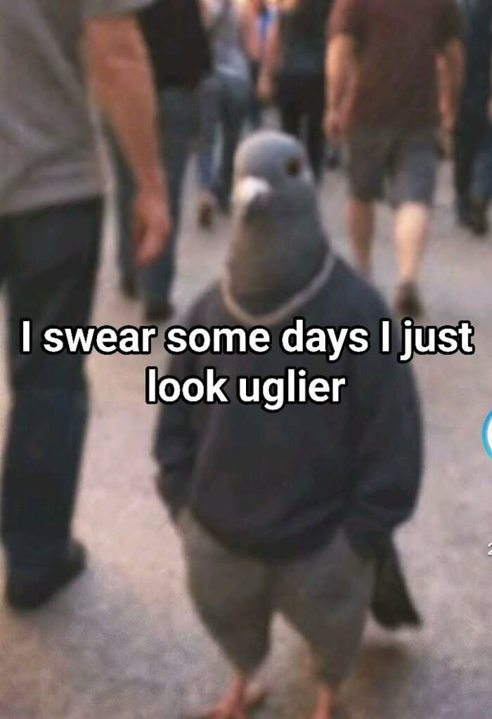 Pigeon with human body wearing a hoodie and pants, standing in a crowd with a meme about evil thoughts and looking uglier.