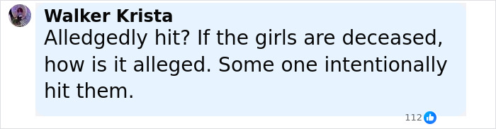 Comment by Walker Krista questioning responsibility in a teen driver fatal hit-and-run case after public outrage online.