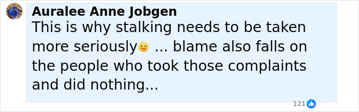 Comment by Auralee Anne Jobgen discussing responsibility and inaction related to a serious issue in a social media post.