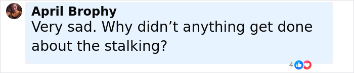 Social media comment expressing concern over accountability in a fatal hit-and-run involving a teen driver.