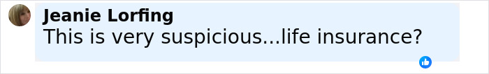 Comment by Jeanie Lorfing stating this is very suspicious about life insurance on a social media post. Comment by Jeanie Lorfing stating this is very suspicious about life insurance on a social media post.