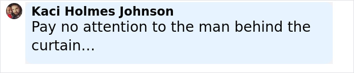 Screenshot of a social media comment reading pay no attention to the man behind the curtain in black text on a light blue background.