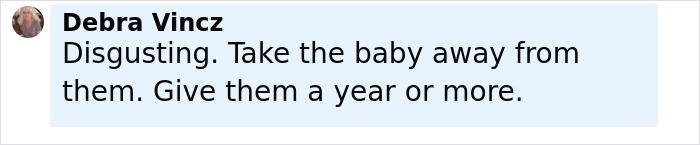 Comment by Debra Vincz criticizing healthcare exec and husband for leaving baby alone at the beach, calling it disgusting. Comment by Debra Vincz criticizing healthcare exec and husband for leaving baby alone at the beach, calling it disgusting.