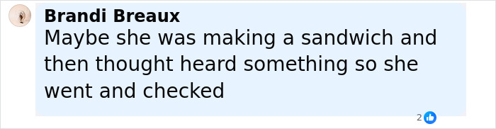 Comment by Brandi Breaux speculating why Britney Spears might have watched her sons sleep with a knife nearby. Comment by Brandi Breaux speculating why Britney Spears might have watched her sons sleep with a knife nearby.