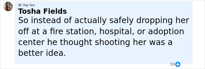 Comment by Tosha Fields criticizing a 16YO dad for shooting a newborn instead of safely dropping her off.