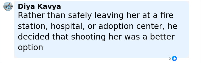 Comment by Diya Kavya expressing outrage over a 16YO dad shooting newborn baby instead of safe options.