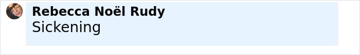 Comment from Rebecca No&euml;l Rudy saying Sickening, with a profile picture showing a woman wearing glasses.