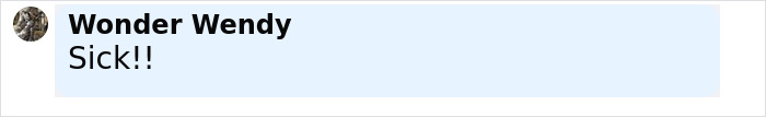 Comment on social media post by user Wonder Wendy expressing shock with the word Sick in bold black text on a light blue background.