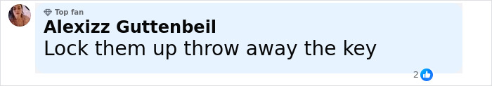 Comment by Alexizz Guttenbeil saying Lock them up throw away the key on a social media post.