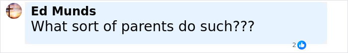 Comment by Ed Munds questioning parents, displayed on a social media platform with blue and white background.