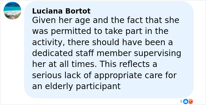 Comment highlighting lack of care for elderly woman stranded on remote island by cruise ship during activity supervision.