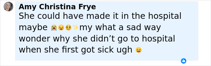 Comment expressing sadness and questioning why hospital was not visited after initial sickness, related to Diane Keaton cause revealed.