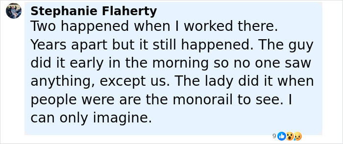 Screenshot of a social media comment discussing a workplace incident, related to the pregnant Disney superfan case.