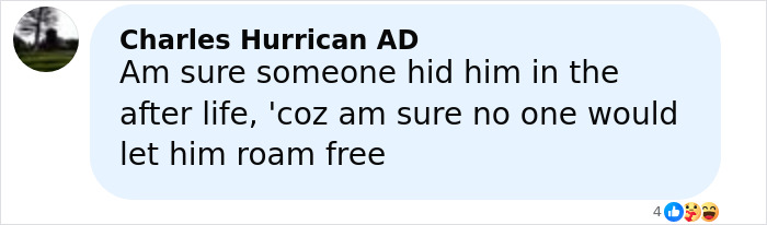Comment from Charles Hurrican AD expressing belief someone hid the monster who strangled over 100 young girls and is now free.