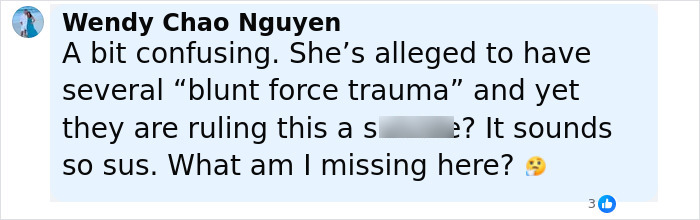 Comment by Disney superfan discussing blunt force trauma and expressing suspicion about sounds so sus case details online.