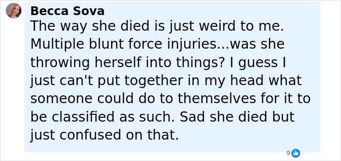 Comment from Becca Sova expressing confusion and sadness about the suspicious death of a Disney superfan.