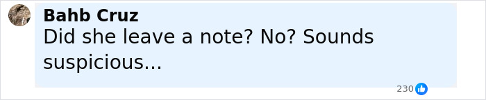 Comment by Bahb Cruz reading Did she leave a note? No? Sounds suspicious about Disney superfan&rsquo;s major life update.