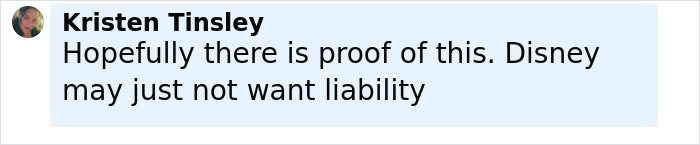 Comment by Kristen Tinsley discussing Disney and liability in a text screenshot with a light blue background.