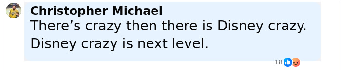 Comment by Christopher Michael stating Disney crazy is next level, highlighting a Disney superfan&rsquo;s sentiment.
