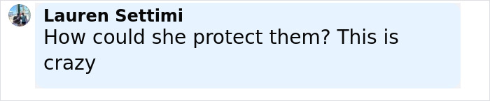 Comment from Lauren Settimi questioning how she could protect them, expressing disbelief at the crazy situation.