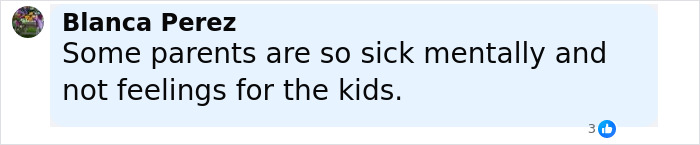 Comment by Blanca Perez criticizing parents&rsquo; mental state and lack of feelings toward their kids in a social media post.