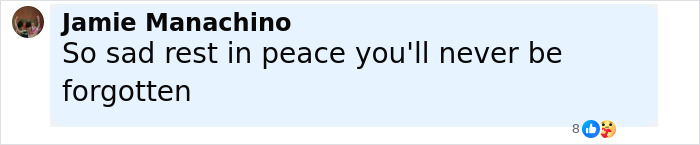 Comment from Jamie Manachino expressing sadness and rest in peace message related to Diane Keaton cause revealed after passing.