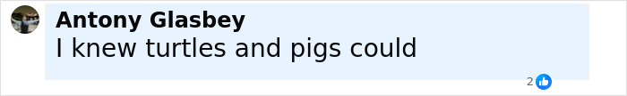 Comment by Antony Glasbey saying he knew turtles and pigs could, referencing scientists proving breathing through bottom. Comment by Antony Glasbey saying he knew turtles and pigs could, referencing scientists proving breathing through bottom.
