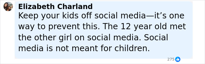 Comment by Elizabeth Charland warning about dangers of social media related to 12YO subway surfing incident.