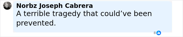 Facebook comment by Norbz Joseph Cabrera reading a message about a preventable tragedy related to a 12YO who lost her life subway surfing.