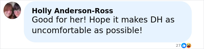 Screenshot of a social media comment reacting to Lily Allen&rsquo;s brutal album about David Harbour and its possible revenge theme.