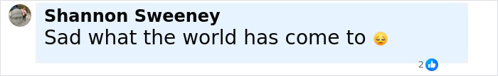 Comment from Shannon Sweeney expressing sadness with a worried face emoji about the world today.