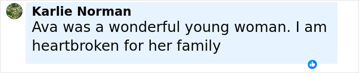 Comment expressing heartbreak for a woman who lost her life in a freak accident at a music festival.