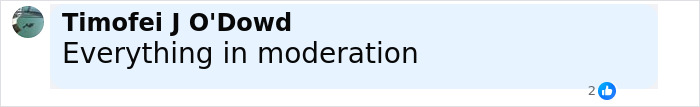 Comment by Timofei J O'Dowd stating Everything in moderation with two likes on a social media post. Comment by Timofei J O'Dowd stating Everything in moderation with two likes on a social media post.