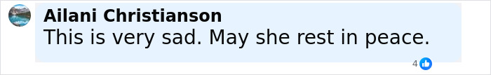 Comment by Ailani Christianson expressing sadness and condolences over a vegan woman found lifeless in a hotel room. Comment by Ailani Christianson expressing sadness and condolences over a vegan woman found lifeless in a hotel room.